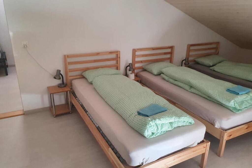 אינטרלאקן Classy Apartment מראה חיצוני תמונה