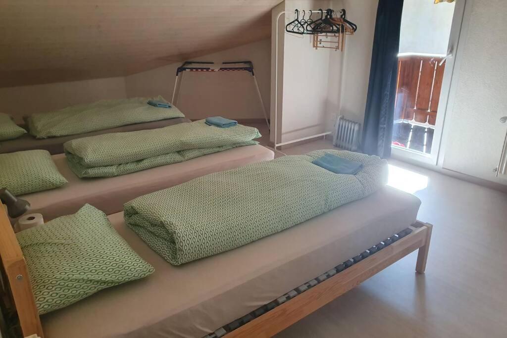 אינטרלאקן Classy Apartment מראה חיצוני תמונה